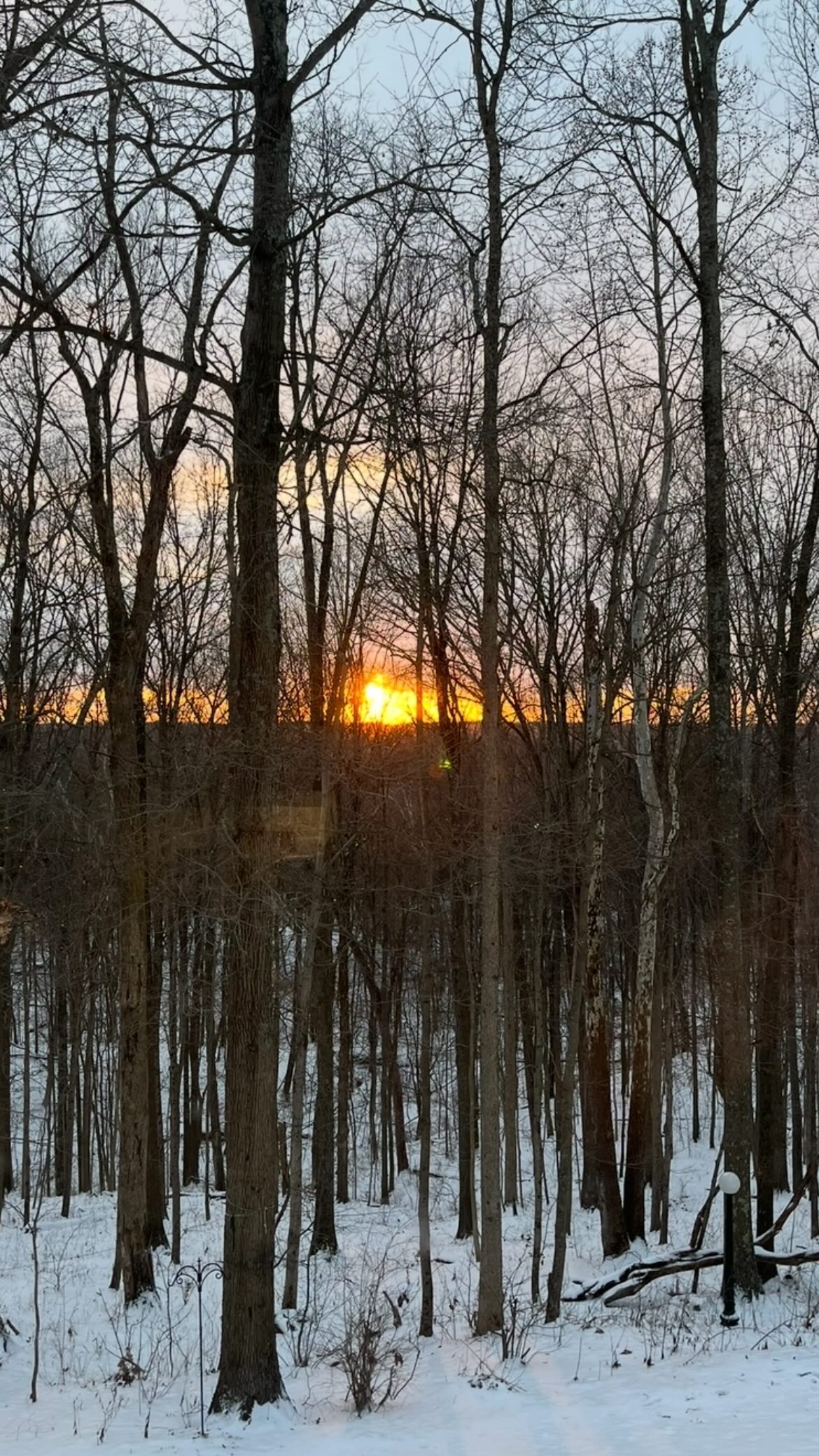 Winter woods at sunset from Kristin’s cabin film